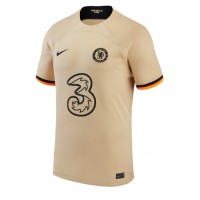 Chelsea Thiago Silva #6 Tredjetrøje 2022-23 Kortærmet